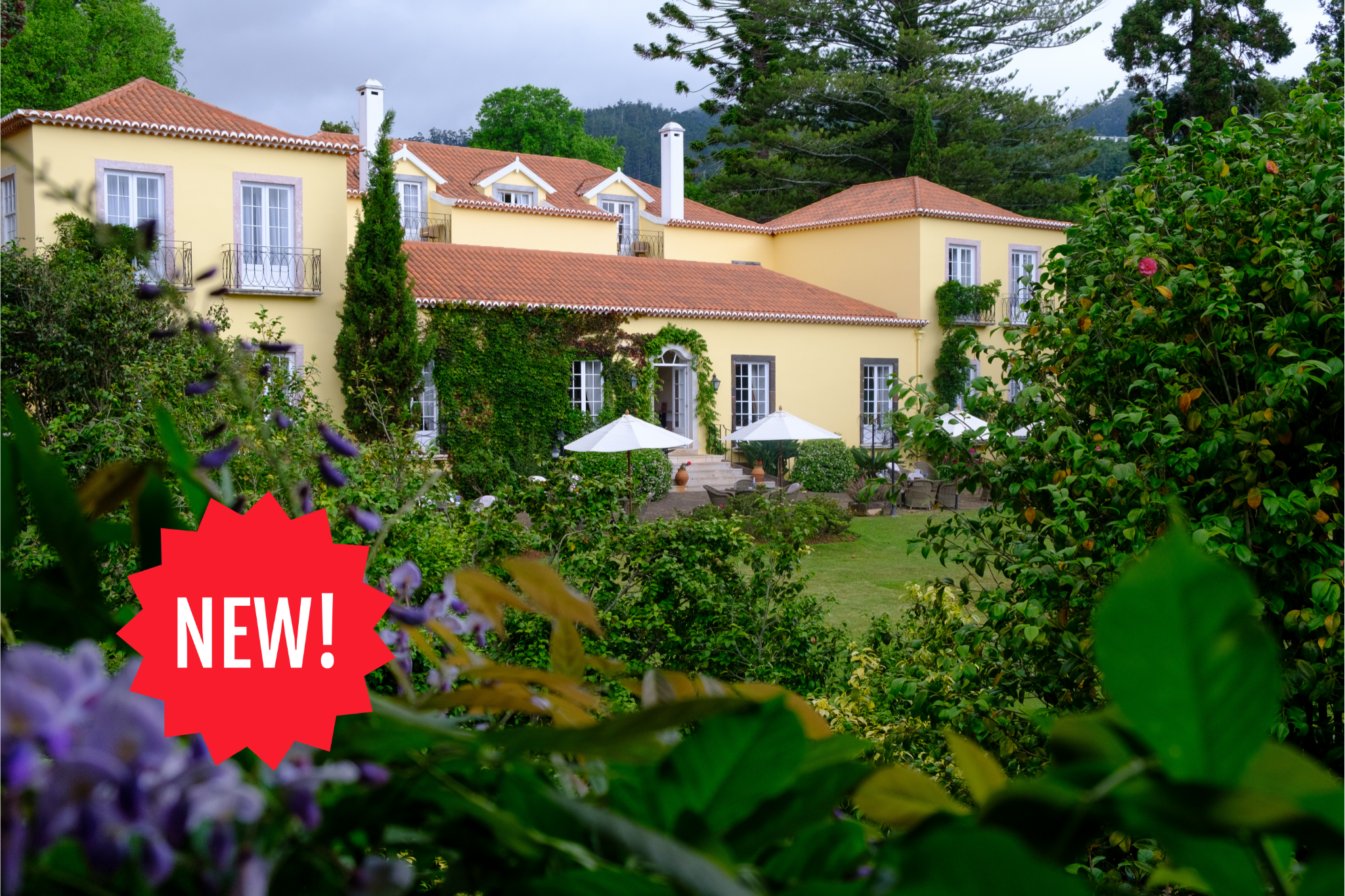 24.01.2026 - 31.01.2026 | Trainings-Golfreise Madeira mit PGA Golf Professional | Palheiro ab 2795,--