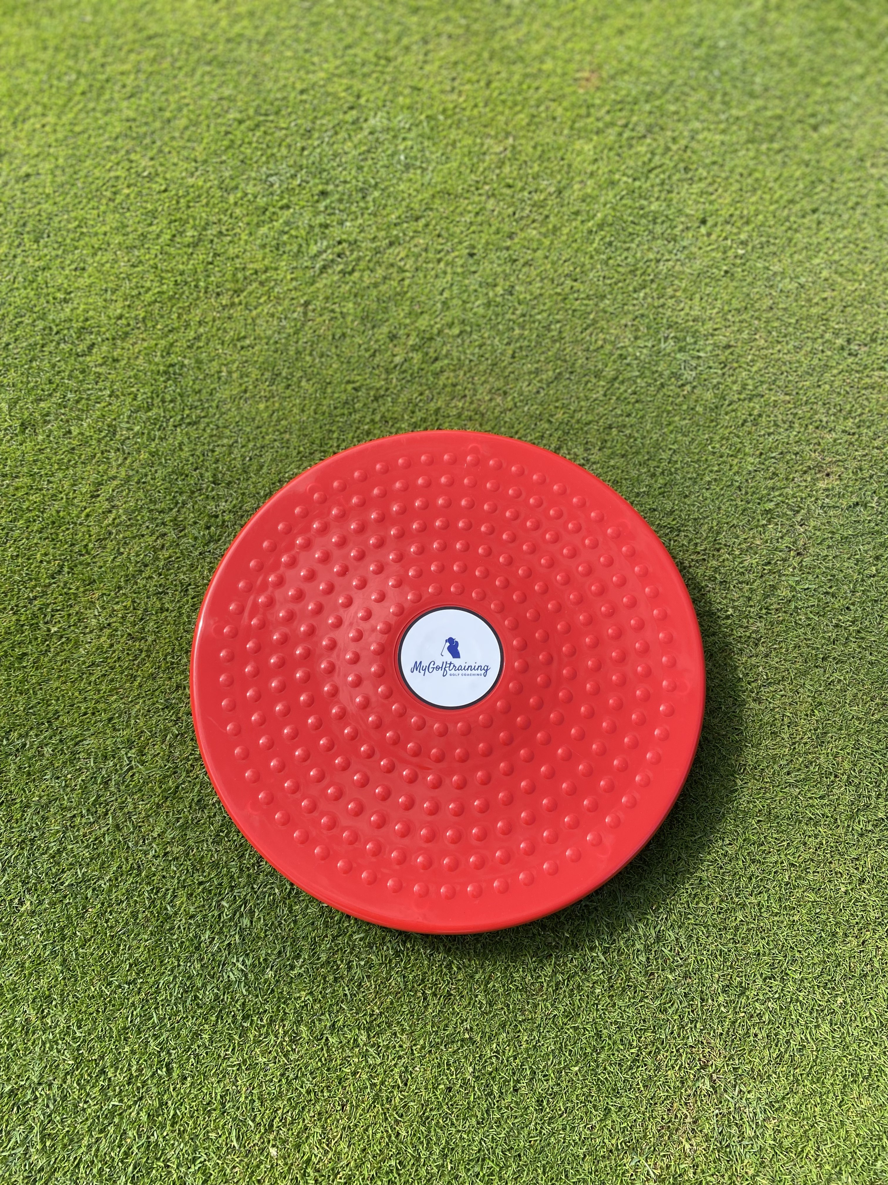 Swivel Disk - Hip Turner